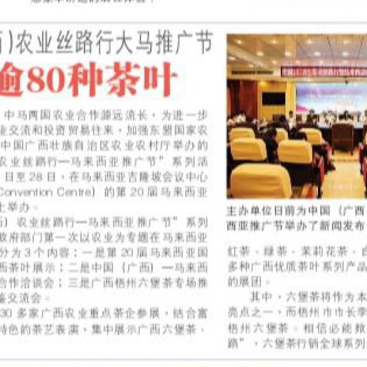 光华日报 （2019年6月23日)